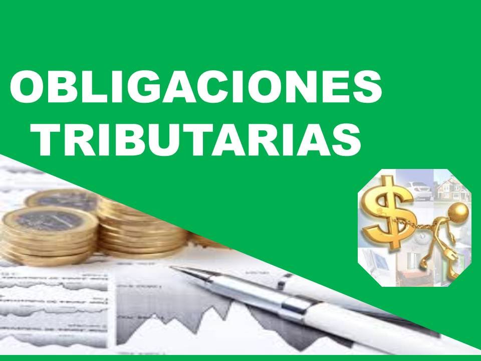 OBLIGACIONES TRIBUTARIAS - INSTITUCIONES SIN FINES DE LUCRO